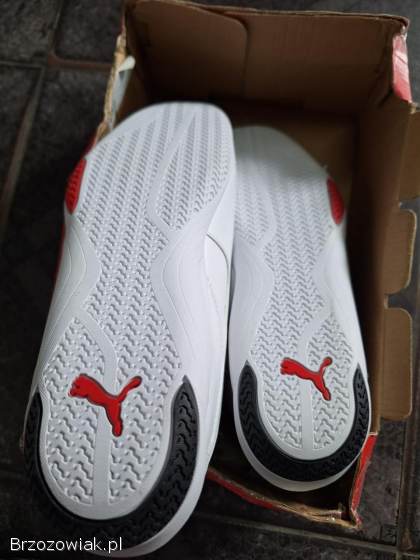 Buty puma