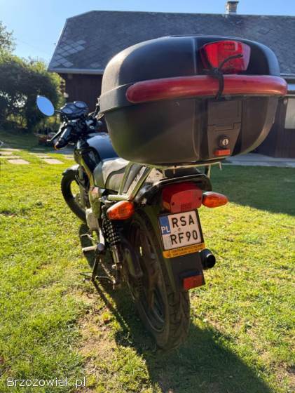 Romet Ws50 2017