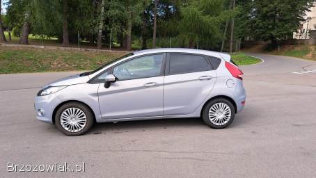 Ford Fiesta 1.  25 2012