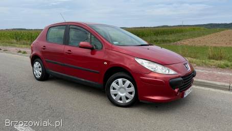 Peugeot 307 1.  6d 90km Lift 2005