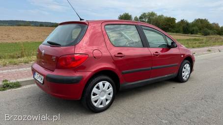 Peugeot 307 1.  6d 90km Lift 2005