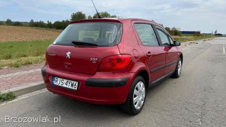 Peugeot 307 1.  6d 90km Lift 2005