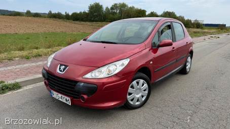Peugeot 307 1.  6d 90km Lift 2005
