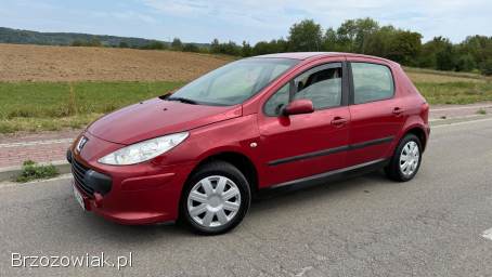Peugeot 307 1.  6d 90km Lift 2005