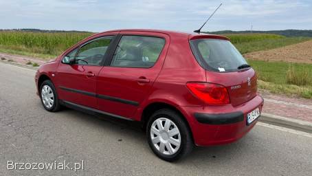 Peugeot 307 1.  6d 90km Lift 2005