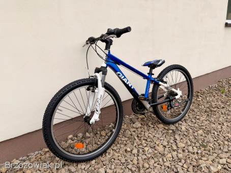 Rower dziecięcy Giant 24” / Aluminium / Shimano Altus 3x7 / Wysyłka