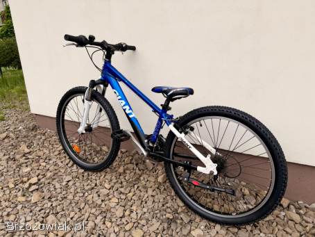 Rower dziecięcy Giant 24” / Aluminium / Shimano Altus 3x7 / Wysyłka