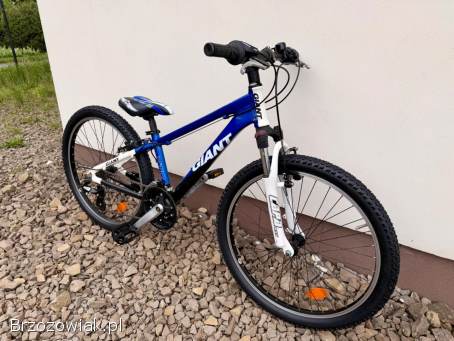 Rower dziecięcy Giant 24” / Aluminium / Shimano Altus 3x7 / Wysyłka