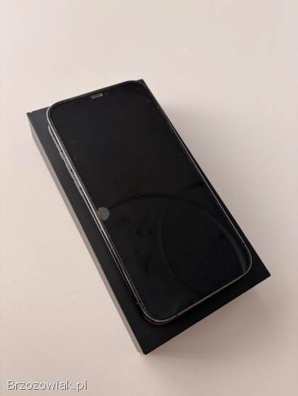 IPhone 12 Pro Max