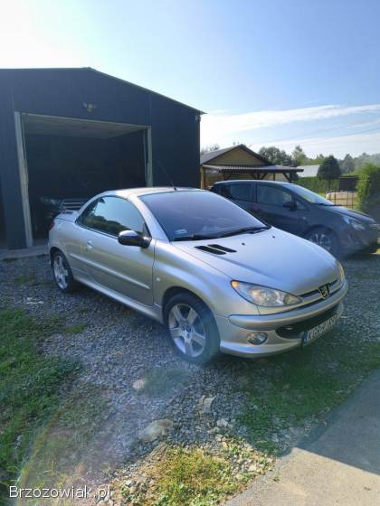Peugeot 206 CC 2005
