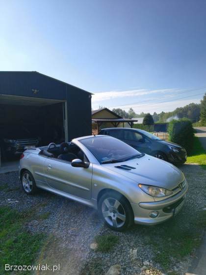 Peugeot 206 CC 2005