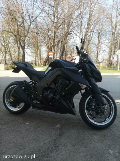 Kawasaki Z Z1000 2010