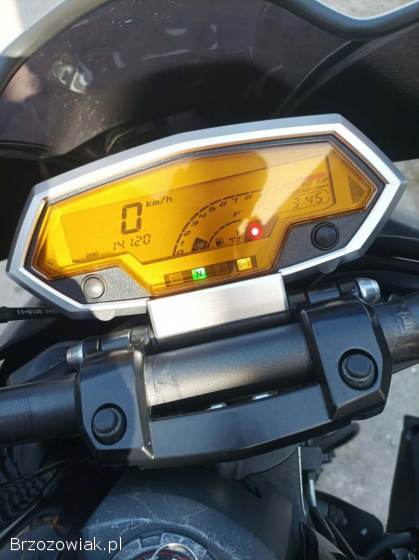 Kawasaki Z Z1000 2010