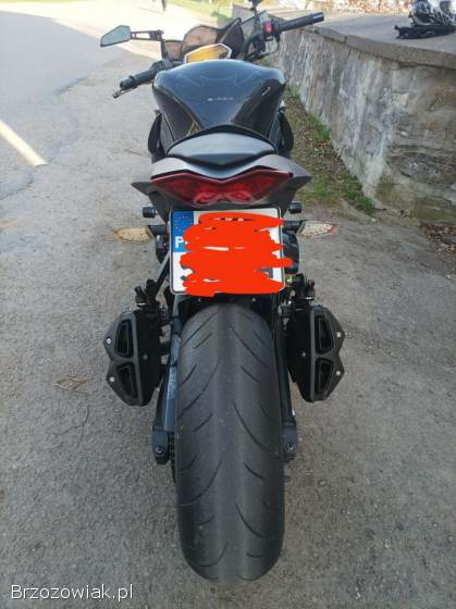 Kawasaki Z Z1000 2010