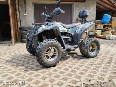 Quad Apollo Magnum 250 Turbo