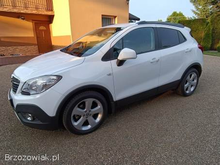 Opel Mokka Cosmo 2013