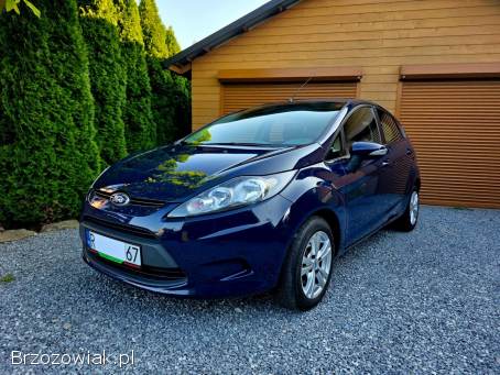 Ford Fiesta 2009