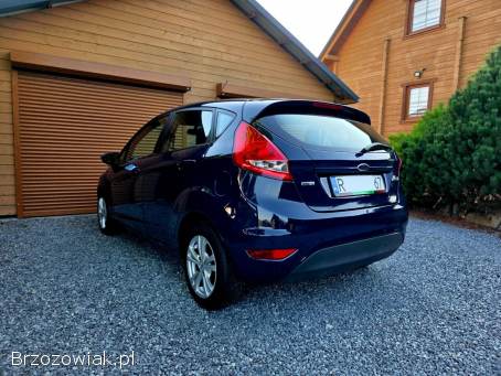 Ford Fiesta 2009