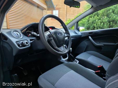Ford Fiesta 2009