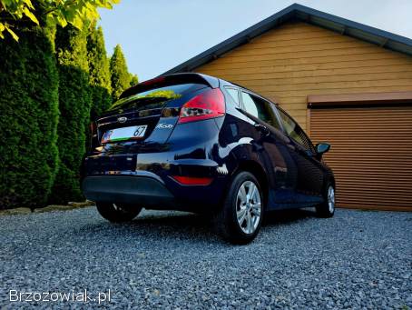 Ford Fiesta 2009