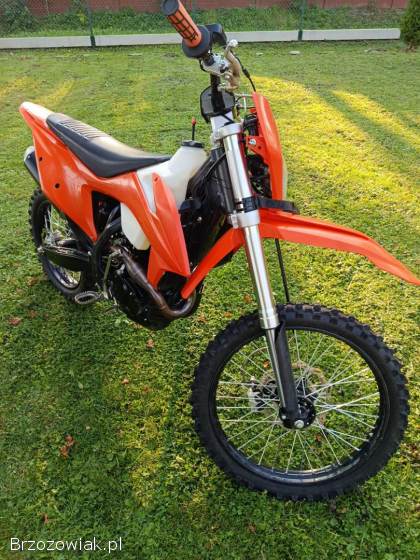 Diabolini X8 2020