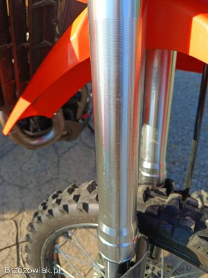 Diabolini X8 2020
