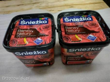 Oddam za darmo farby marki Śnieżka