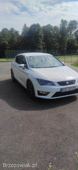 Seat Leon Fr 2013