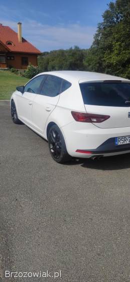 Seat Leon Fr 2013