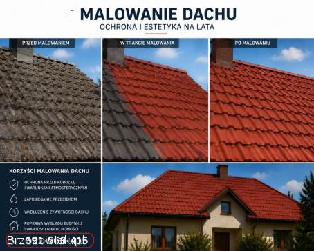 Malowanie dachów,  mycie i czyszczenie
