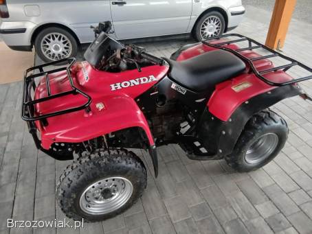 Honda TRX 250