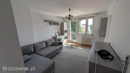 Wynajmę mieszkanie w Krośnie 3 pokoje 58m2