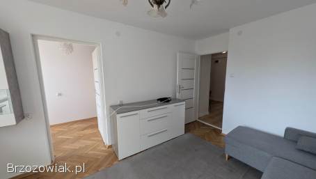 Wynajmę mieszkanie w Krośnie 3 pokoje 58m2