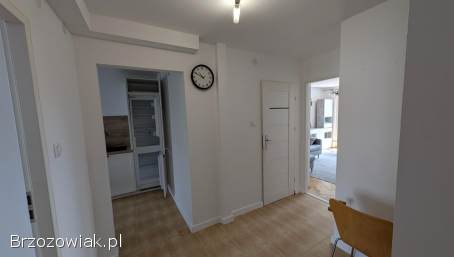 Wynajmę mieszkanie w Krośnie 3 pokoje 58m2