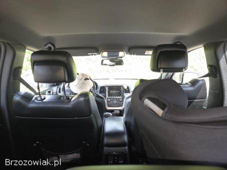 Jeep Grand Cherokee 2015