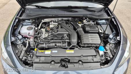 Seat Leon 1.  5 TSI 2025 2025