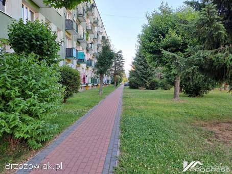 4-pokojowe mieszkanie z balkonem w atrakcyjnej lokalizacji – Sanok /Posada/.
