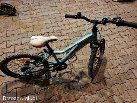 Rower dziecięcy 20 cali