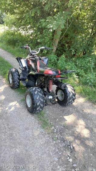 Quad Bashan 200 Automat