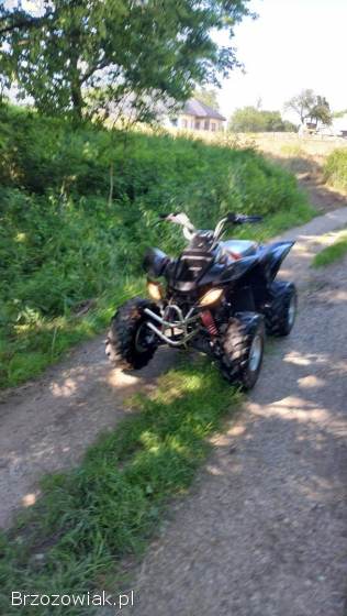 Quad Bashan 200 Automat
