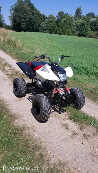 Quad Bashan 250 manual