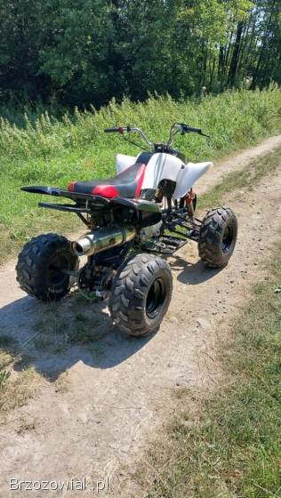 Quad Bashan 250 manual