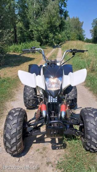 Quad Bashan 250 manual