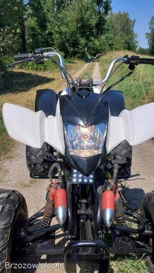 Quad Bashan 250 manual