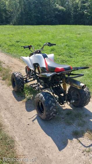 Quad Bashan 250 manual