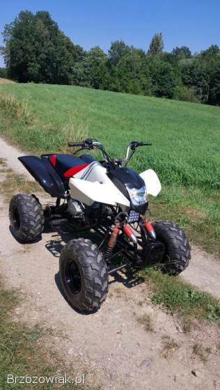 Quad Bashan 250 manual