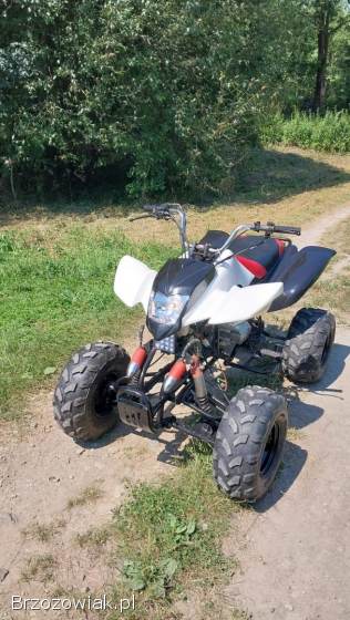 Quad Bashan 250 manual
