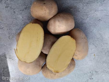 Ziemniaki