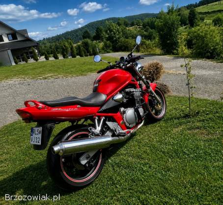 Suzuki Bandit 600 2002