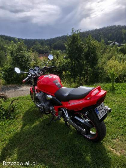 Suzuki Bandit 600 2002